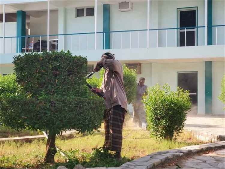 قسم التشجير بصندوق النظافة والتحسين ينفذ أعمال تنسيق وتجميل المساحات الخضراء بكلية المجتمع سيئون
