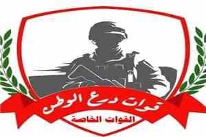 عاجل | مصدر عسكري لـ