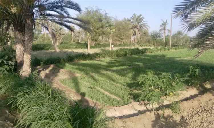 جحيم الصواريخ يُمطر "العربدي" في طور الباحة.. وأهالي القرية يستغيثون تحت نيران القصف المتواصل