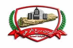 ضربة جوية مباغتة.. مسيّرة لدرع الوطن تستهدف مركبة حوثية في جبهة المحاولة