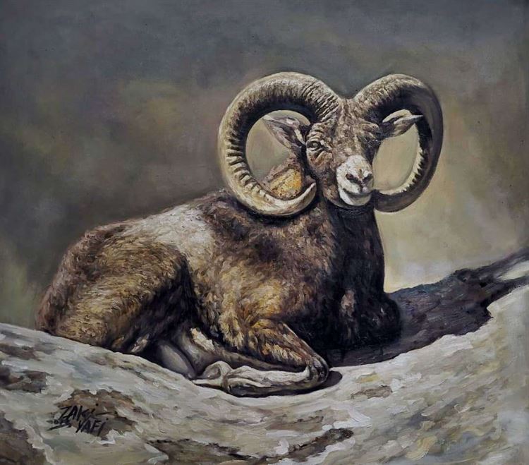 زكي يافعي.. رائد من رواد الفن التشكيلي