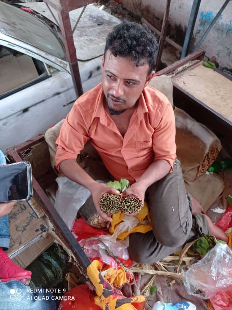 عزوف كبير عن شراء القات بعدن.. وأحد الباعة يوضح السبب!