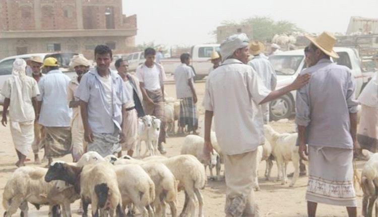 ارتفاع أسعار الأضاحي والملابس كابوس يورق اليمنيين.. تقرير