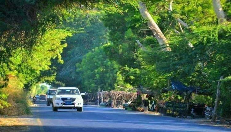 تاريخ السلطنة الفضلية والقبائل التي تنتمي إليها في أبين