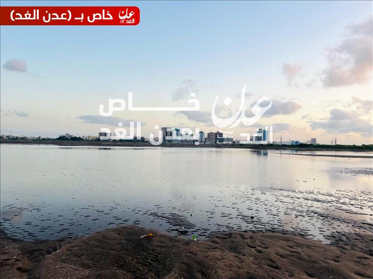 ارتفاع مفاجئ في مستوى مياه البحر بعدن يتجاوز 300 متر عن المعتاد