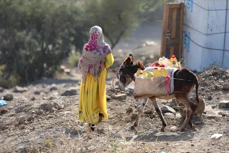 أزمة مياه خانقة تضرب تعز والسكان ينتظرون لأيام لشحنات تُباع بأسعار مضاعفة