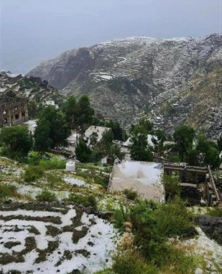 هطول أمطار غزيرة على مدينة تعز