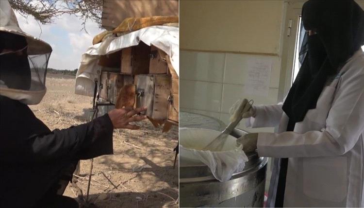 رغم العوائق.. نساء في لحج يقاومن الفقر بخلايا النحل وحليب الأبقار