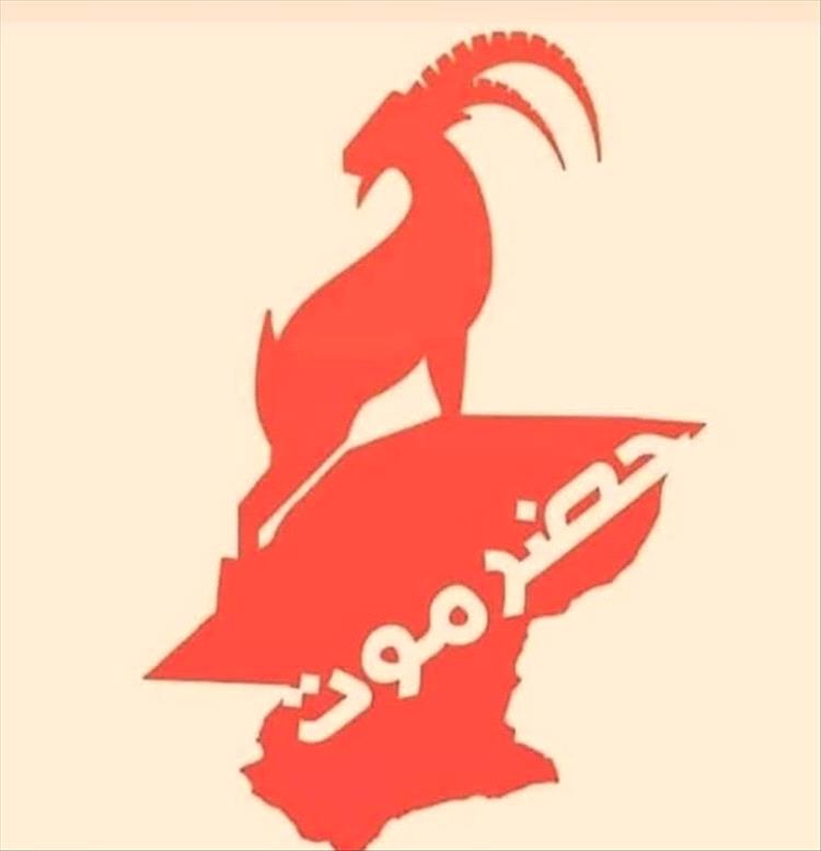 فريق تحقيق المصلحة العامة يدعو للمشاركة الواسعة في دعم قرارات حلف قبائل حضرموت