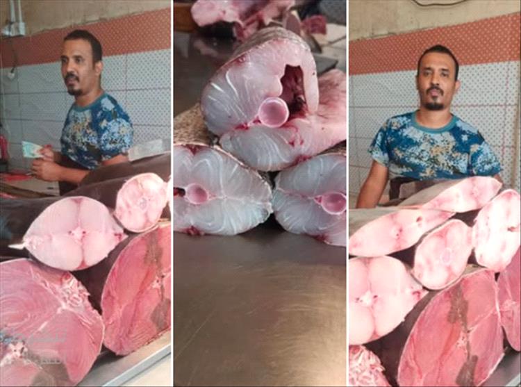 أسعار الاسماك في مدينة عدن