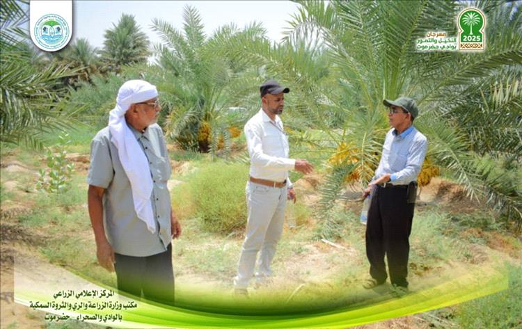مدير عام الزراعة بالوادي يقوم بزيارة ميدانية إلى مزرعة النخيل النموذجية بسيئون