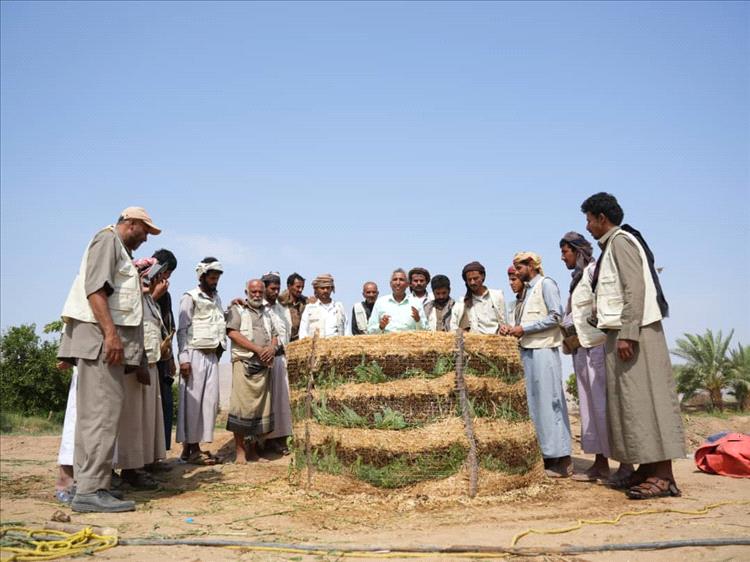 مركز الملك سلمان للإغاثة يختتم برنامج رفع قدرات المزارعين في خمس محافظات يمنية