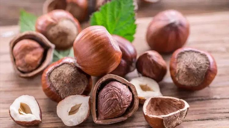 الذهب الأخضر في تركيا يواجه أزمة إنتاج وارتفاع أسعار قياسي