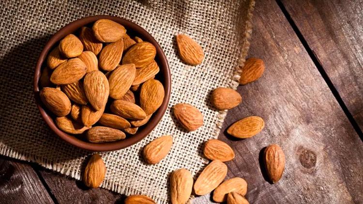 حفنة لوز يومياً تحسن صحة الأمعاء.. فكم حبة علينا تناولها؟