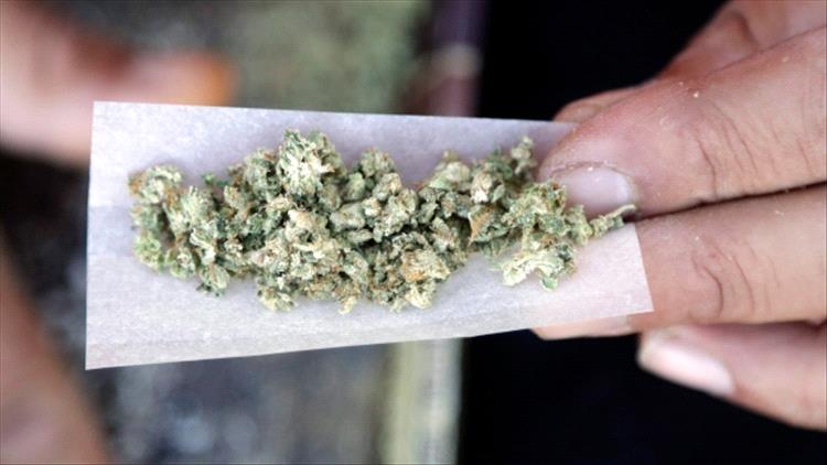 ترامب يدرس تخفيف القيود على الماريغوانا: انقسام داخل فريقه ومطالب بتوسيع الأبحاث الطبية