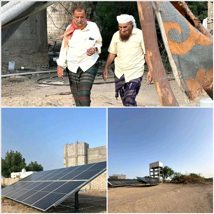 المدينة الخضراء تكتمل إنارتها بحي النخيل 1 والعمائر.. تقدير لجهود الشيخ محمد الحيدري في مشروع الطاقة الشمسية