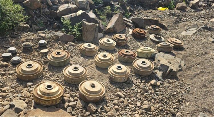 مشروع مسام يزيل قرابة 3,000 مادة متفجرة خلال النصف الأول من أغسطس