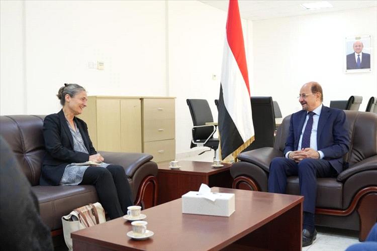 وزير الخارجية يبحث مع السفيرة الهولندية العلاقات الثنائية بين البلدين