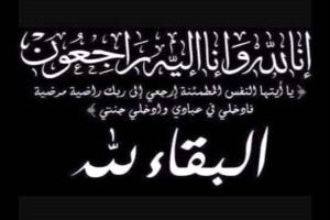 العزاني يُعزّي اللواء الركن / أحمد سعيد بن بريك في وفاة شقيقه وابن عمه