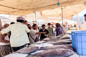 هيئة المصائد السمكية في صيرة تضبط كمية من الأسماك المتعفنة وتتلفها