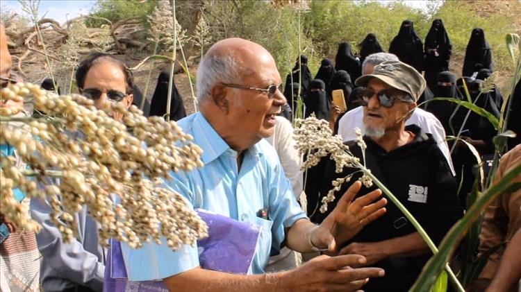 أبين: قصة خبراء وباحثين زراعيين رفضوا أن تموت أرض كانت يوما سلة غذاء اليمن