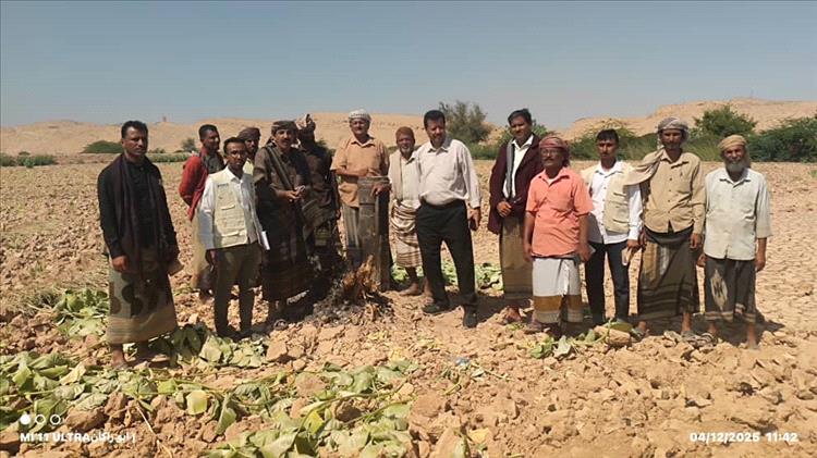 بحضور مدير عام رضوم.. تسليم موقع مشروع منظومة الطاقة الشمسية لمزارعي منطقة الجربة