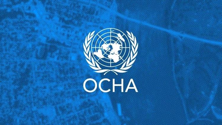 "أوتشا" يعلن إصابة 733 فلسطينياً في هجمات للمستعمرين الإسرائيليين خلال العام الجاري