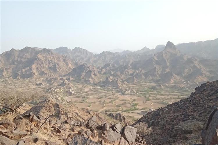 مناشدة عاجلة من أهالي "شعبو" بمديرية الوازعية إلى السلطات المحلية في تعز: أزمة مياه خانقة تهدد الحياة اليومية