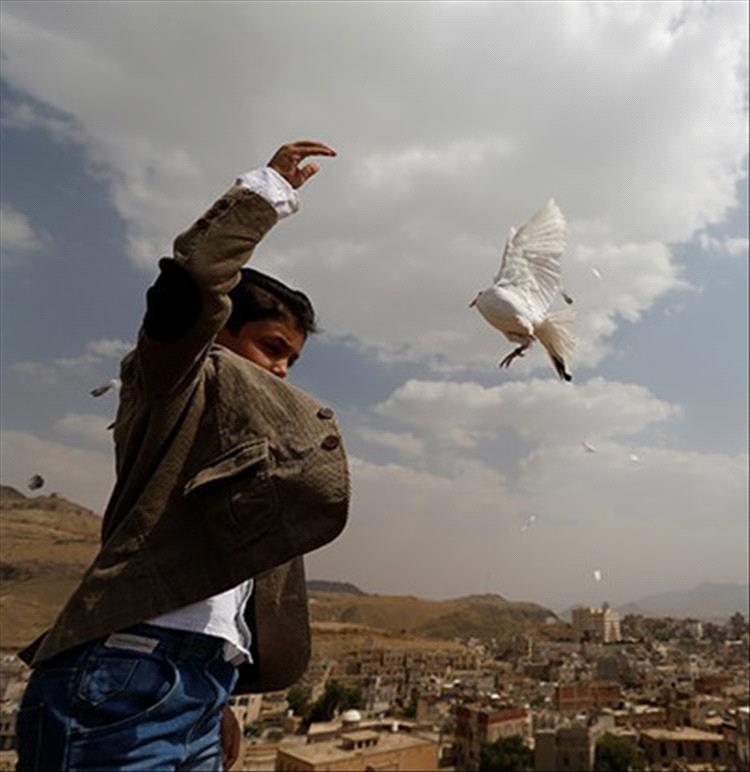 سياسي سعودي يحذر من تهديد سيادي متصاعد في اليمن