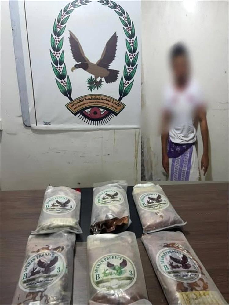المهرة.. إدارة مكافحة المخدرات تضبط مروّجًا للمواد المخدرة وبحوزته 6 كيلوجرامات من الحشيش