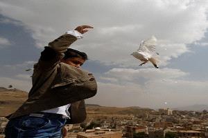 سياسي سعودي يحذر من تهديد سيادي متصاعد في اليمن