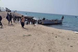 وصول 180 مهاجرًا من أفريقيا إلى ساحل العين بشبوة