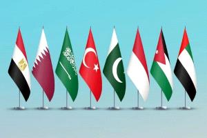 وزراء خارجية السعودية ومصر والأردن والإمارات وإندونيسيا وباكستان وتركيا وقطر يعربون عن قلقهم بشأن فتح معبر رفح في اتجاه واحد