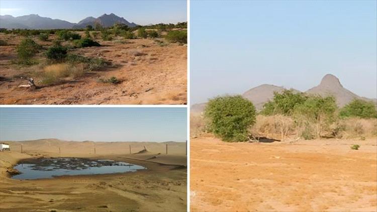 التربة المسمومة.. سلسلة غذائية ملوثة في اليمن.. تقرير
