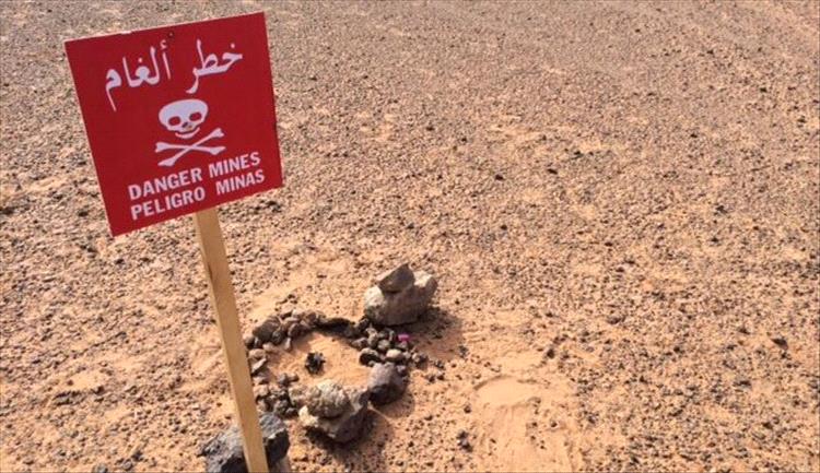 مسام يدعو سكان المناطق الساحلية والصحراوية لتوخي الحذر من خطر الألغام