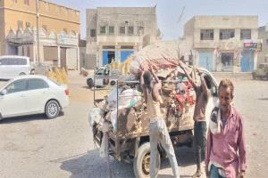 السلطة المحلية بشقرة تطلق حملة نظافة في المدينة وسط إشادة مجتمعية
