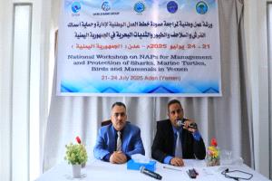 ورشة عمل لمراجعة مسودة خطط العمل الوطنية لإدارة وحماية اسماك القرش والسلاحف والطيور والثدييات البحرية باليمن