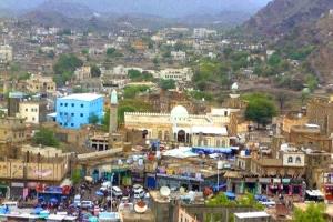 وفاة طفلة إثر عضة كلب مسعور في الضالع