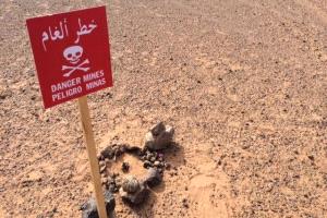 مسام يدعو سكان المناطق الساحلية والصحراوية لتوخي الحذر من خطر الألغام