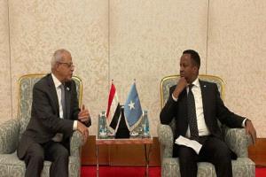 نائب وزير الخارجية يلتقي وزير الشؤون الخارجية والتعاون الدولي الصومالي