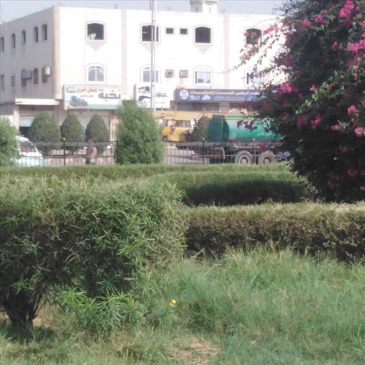 صندوق النظافة عدن يكسو المدينة بحلة جديدة