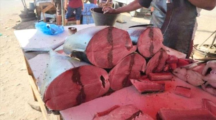 عدن: ارتفاع جديد في أسعار الأسماك خلال إجازة عيد الأضحى.. وسعر كيلو التونة يصل إلى 10 آلاف ريال