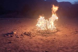 عزوف الكثير من أبناء دوعن عن قضاء يوم مزدلفة بسبب غلاء أسعار الأغنام