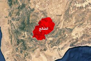 مقتل مهاجر إثيوبي برصاص الحوثيين في مريس شمال الضالع