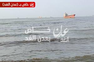 مواطنون: تلوث نفطي كبير يضرب سواحل البريقة والحسوة والشعب في عدن