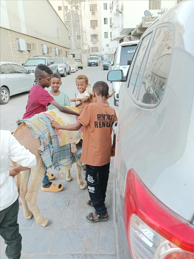 الحمير تنضم إلى قائمة وسائل الترفيه للأطفال في العيد بعدن