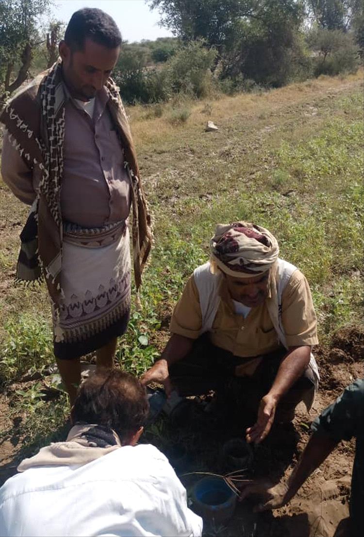 الأحمدي ومدير مكتب الزراعة يشرفان على إصلاح العطل في الخط الرئيسي لمشروع مياه السواد