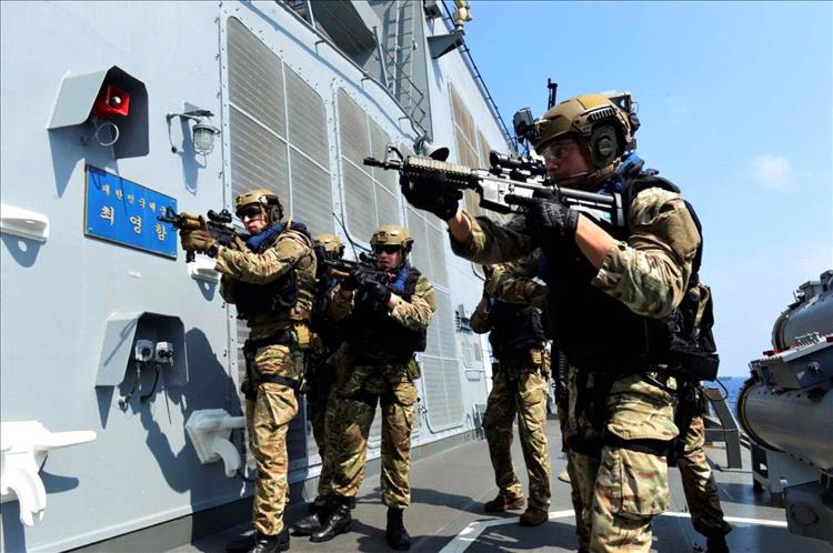 بقيادة البحرية البرازيلية.. القوات البحرية المشتركة تطلق عملية دولية لمكافحة القرصنة في باب المندب وخليج عدن