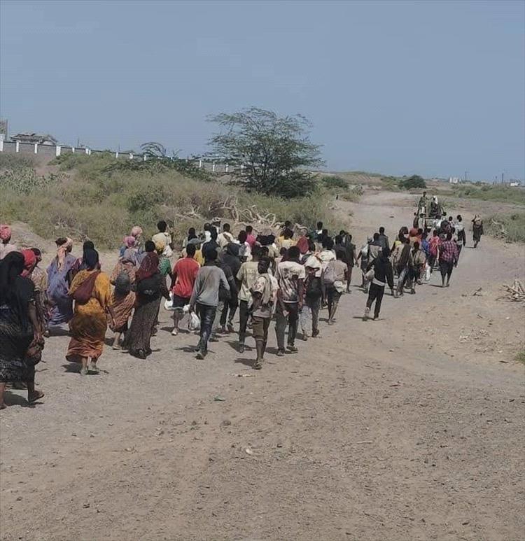 عمليات تنكيل حوثية تطال مهاجرين أفارقة