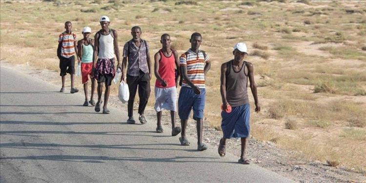 نائب مدير أمن عدن يدعو الحكومة إلى تحرك عاجل لوقف تدفق المهاجرين الأفارقة